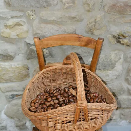 Ferienhaus Incantevole Casa Tra Le Vie Di Un Antico Borgo